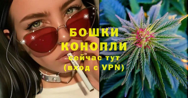 ГАЛЛЮЦИНОГЕННЫЕ ГРИБЫ Армянск